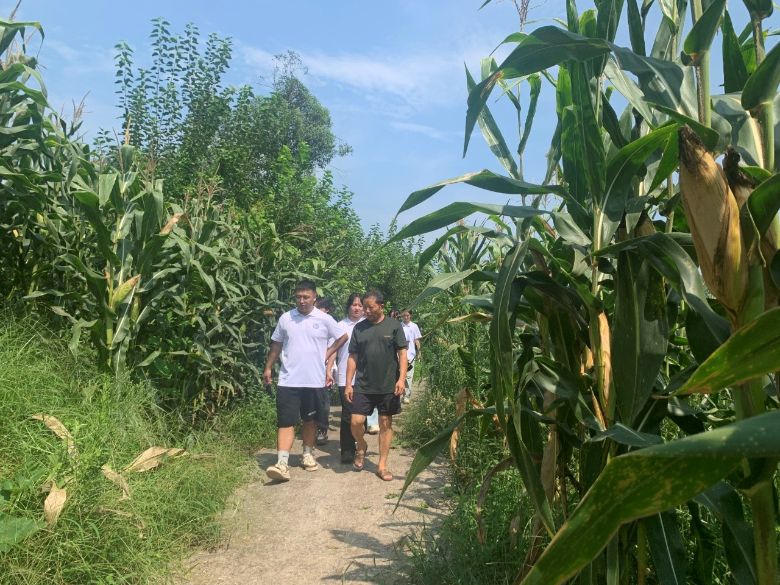 ĿƼѧԺʵŸɴ̽ɫֲģʽ