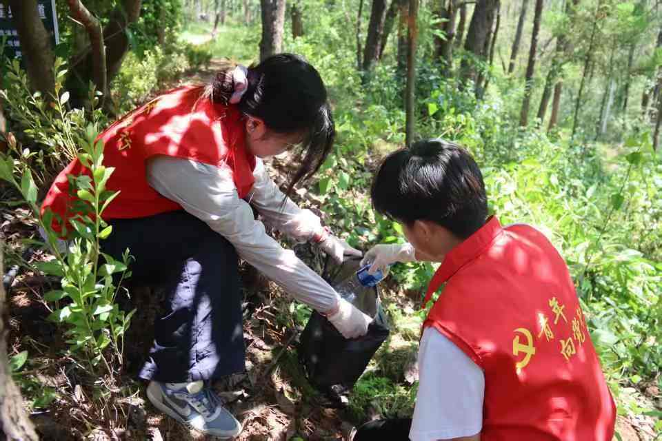 ҽѧԺʵţԪʵ뾫񴫳»