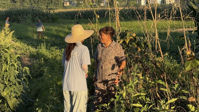 ѧԺ˴ٽţƼũ˲԰ٷչ