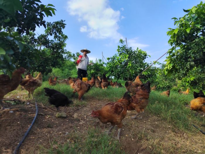 𡰼šѧָ֡ӡȺƼũ