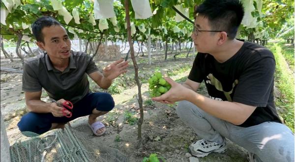 ഺ֯ԼҰרҵ ϹѧԺѧӸұڴ忪չѲҵʵ