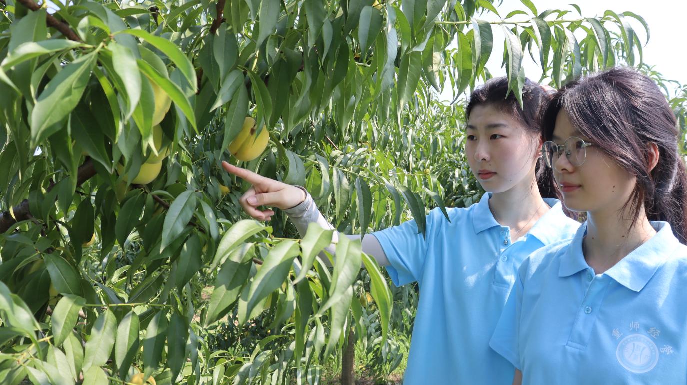 ƹģ֪кһδ ʦѧѧԺѹӢ־ԸֶͭӼ