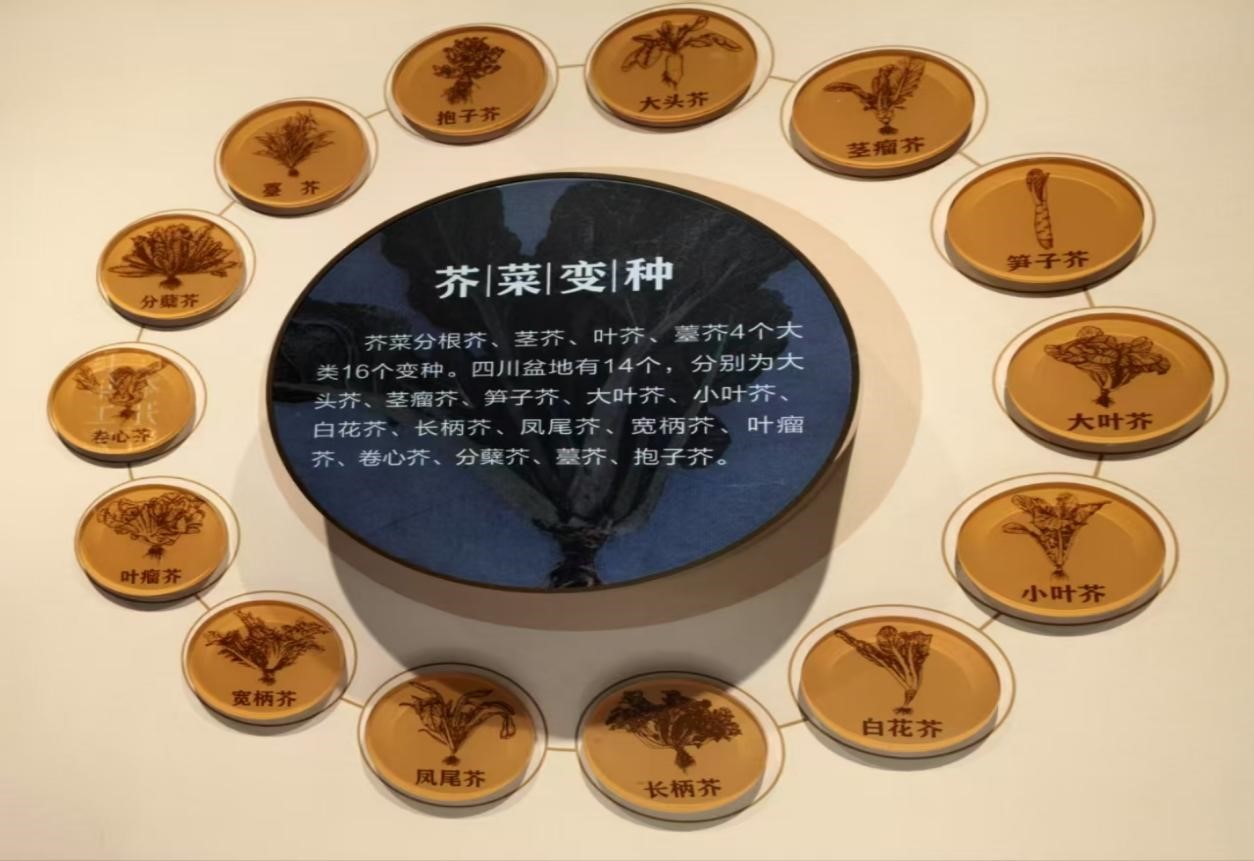 ĿƼѧԺ ̽ʡ Ŷ̽ظե˲ ҵĿƼں֮