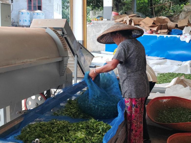 97c5f0bdfdb793e6ab8d4ac1fc2f108