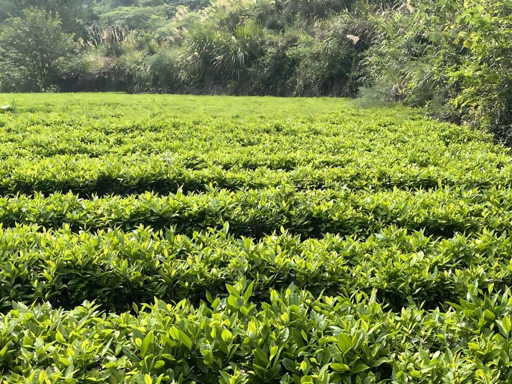 Ϫ֪Сɷǣɽˮ䶨Ϫ̬