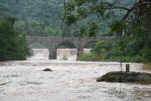 ƷĻ »ʦѧԺܹѧԺԸС־Ը߷̽ͽ