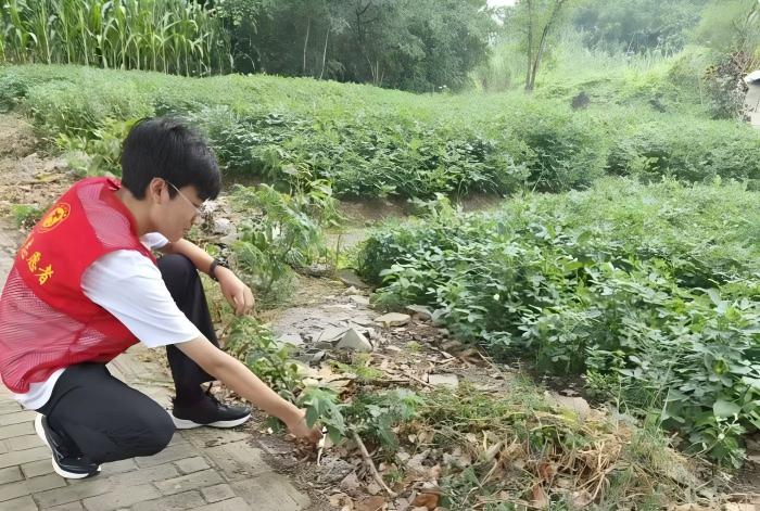 "C:\Users\31691\Desktop\΢ͼƬ_20250813194116_compressed(1).jpg"