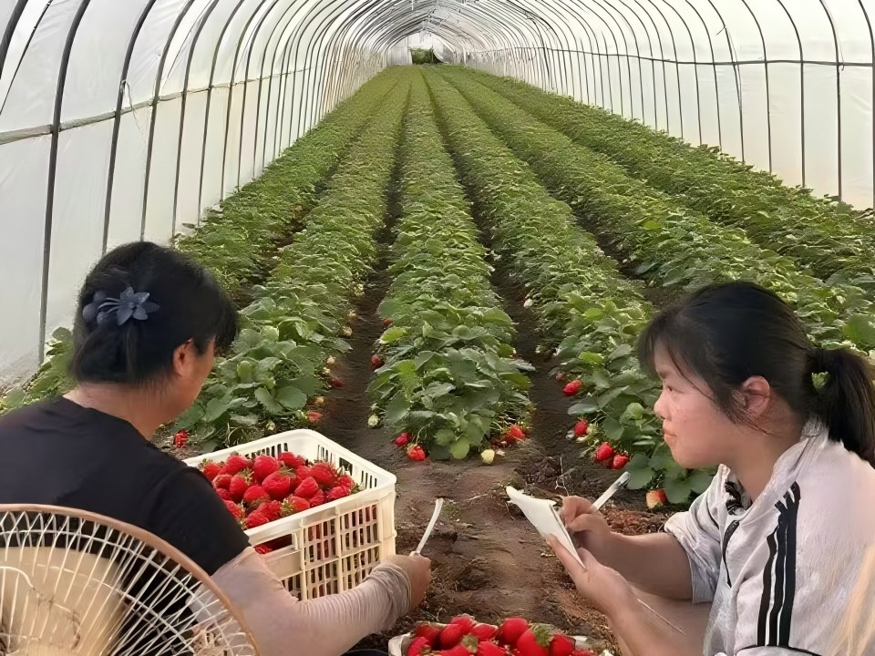 Լϡʵӿչ˵л