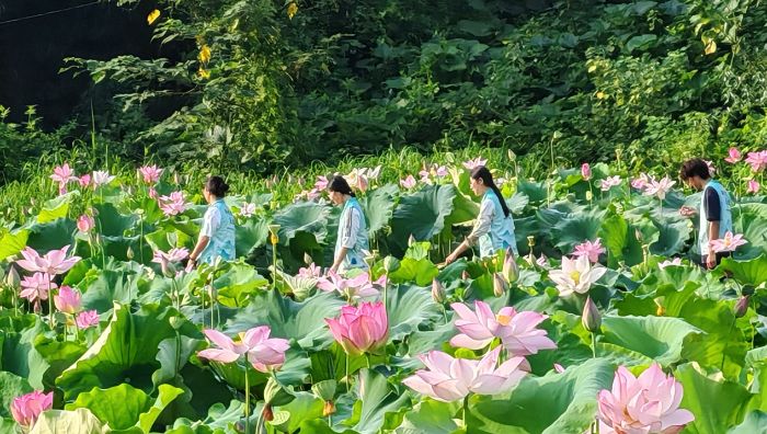 ��������뻭�� �ഺ��ͷ¼�����������״�ѧ����ϵ��ũ��ʵ��������ɻ�԰���㸳��������÷�չ