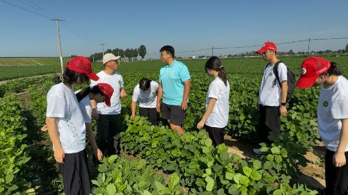 �ǻ������������ʵ����̤����Ұ����·����ũ��������