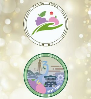 ��ýѧ�������������� רҵ����������կ����