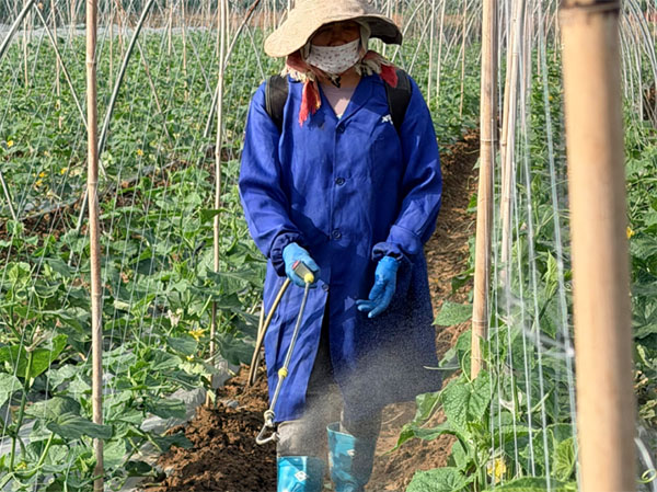 �����ʵ��������ʦ����ѧ������˫ɱС�ֶӡ�������� �ԿƼ��ƽ�ũ�������������