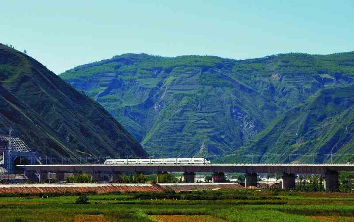 ɽ����ѧ����������˿��ε������Э�ỷ������壬����������