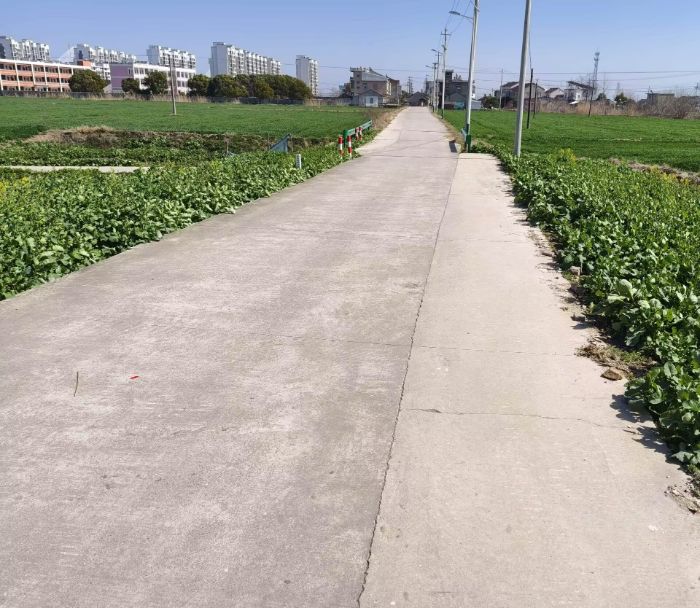 ���չ�ҵ��ѧѧ�ӣ���������۲죬������巢չ