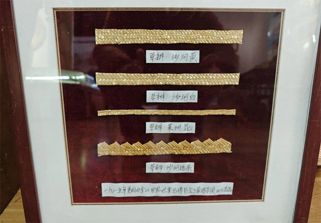 ɽ������ѧԺ�ǻ�����Ŷӣ��ݱ�֯���� ����̽����