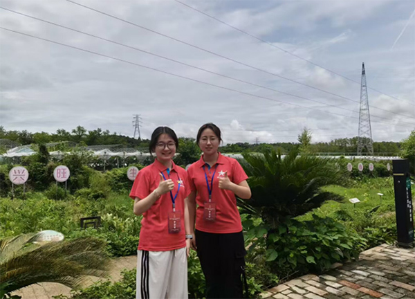  �⻯ѧ��VD3���������£���ɫ����ͻ�ƹ���������