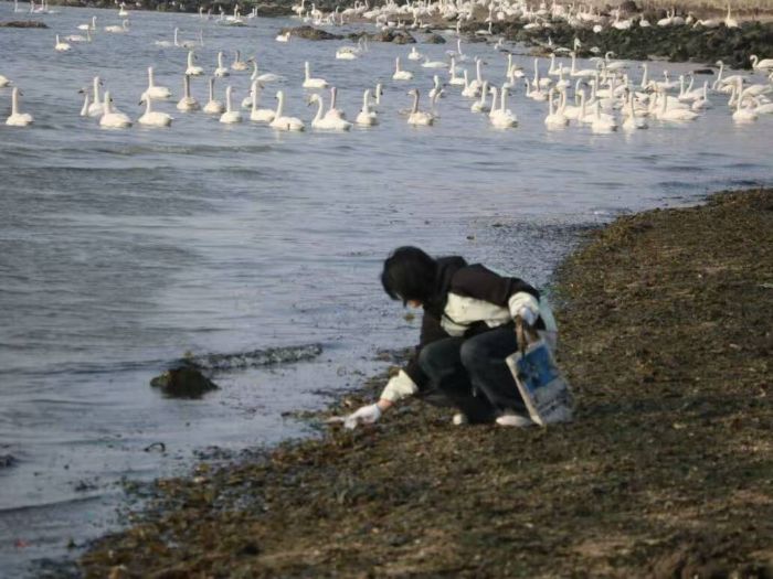 ɽ����ѧ����ѧԺ��˿��ε������Э�����뾸�Ӵ�̽����̬��������������˵�·